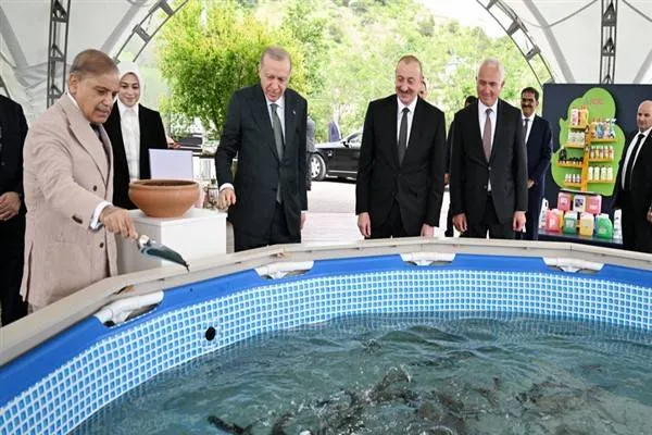 Leaders of Azerbaijan, Türkiye and Pakistan visit Lachin