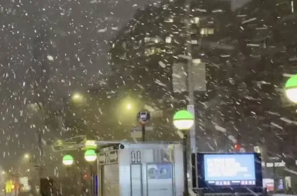 Travel ban declared in New York due to powerful winter storm in the US