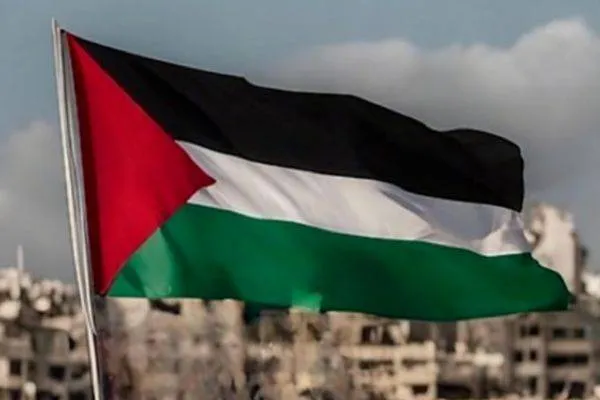 Palestinian Foreign Ministry supports the term 