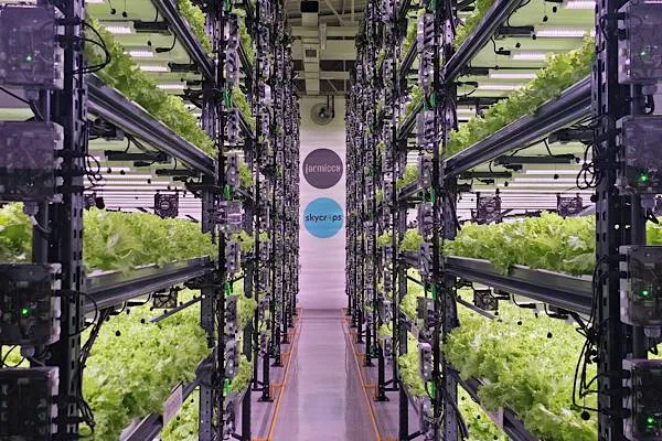 Farmicca highlights efficiency and technology in agriculture