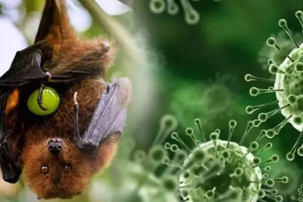 Deniz polisinden Adalar çevresinde 'deniz taksi' denetimi