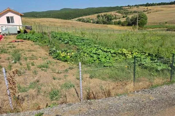 В Кърджали разкриха нарушения при усвояване на европейски субсидии за над 350 000 евро