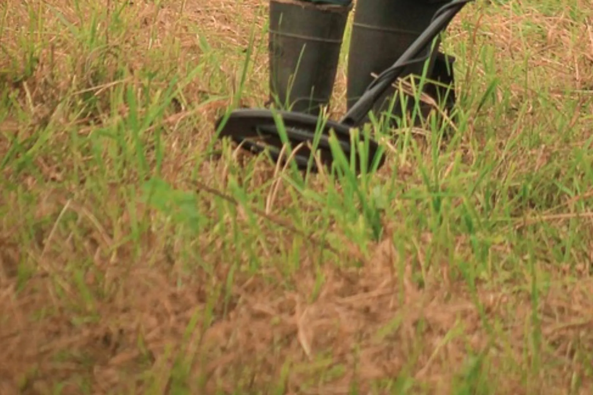 Deniz polisinden Adalar çevresinde 'deniz taksi' denetimi