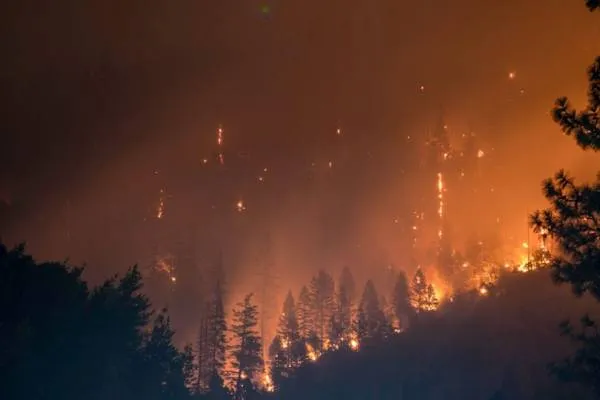 Deniz polisinden Adalar çevresinde 'deniz taksi' denetimi