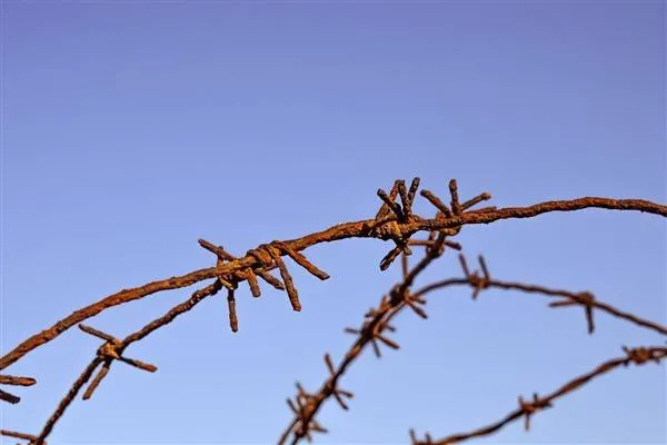 Deniz polisinden Adalar çevresinde 'deniz taksi' denetimi