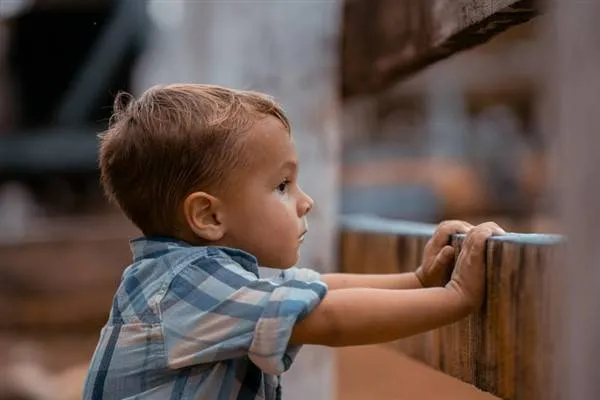 UNICEF: Her sal salekê pir zêde zarok ji penesîkê diyen