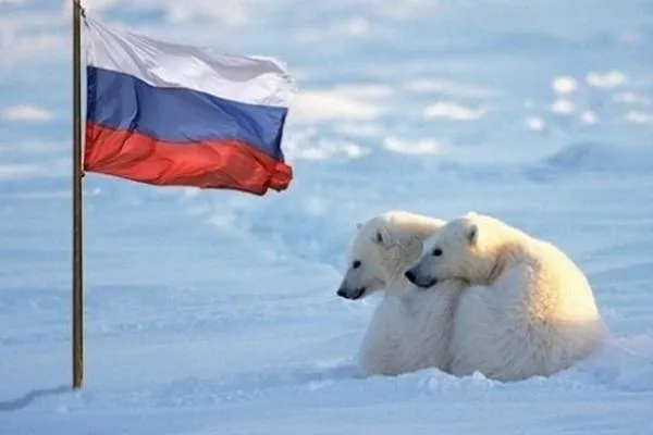 NATO verstärkt seine Präsenz in der Arktis