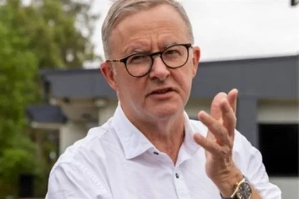 Albanese: Partnership with Japan is strengthening