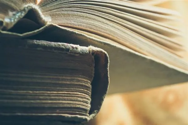 In Iran si è celebrata la Giornata della Lingua e Letteratura Persiana