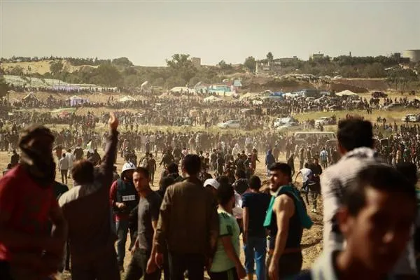 Reacția Ministerului Afacerilor Externe al Palestinei față de Israel