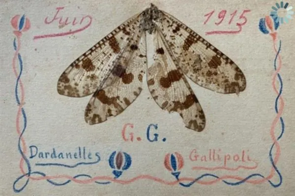 The 111-year-old silent legacy of a French soldier from Gallipoli