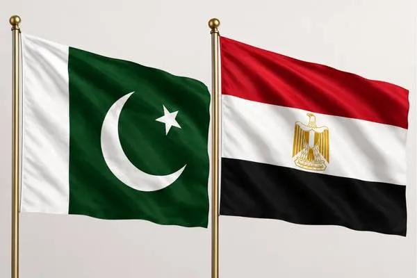 Außenminister Pakistans und Ägyptens führten Telefongespräch