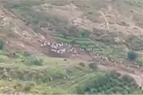 مصرع أكثر من ألف شخص في انهيار أرضي بالسودان