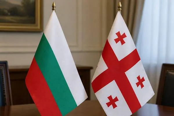 България и Грузия обсъдиха регионалната свързаност