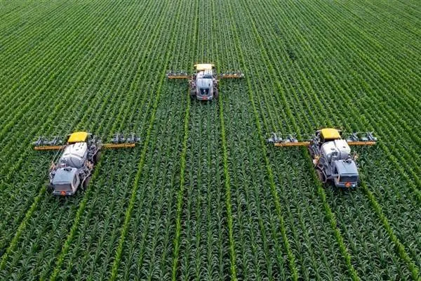 Farkeyê dikeferên mezin û biçûk ên Ewropa yên agrî de mezintir dibe