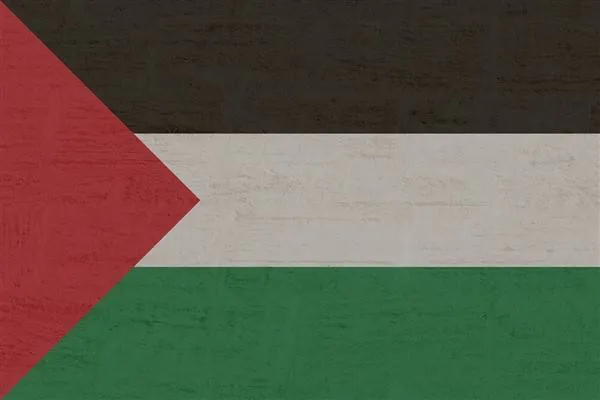 El Ministerio de Relaciones Exteriores de Palestina pide la rápida implementación de la resolución del CSNU