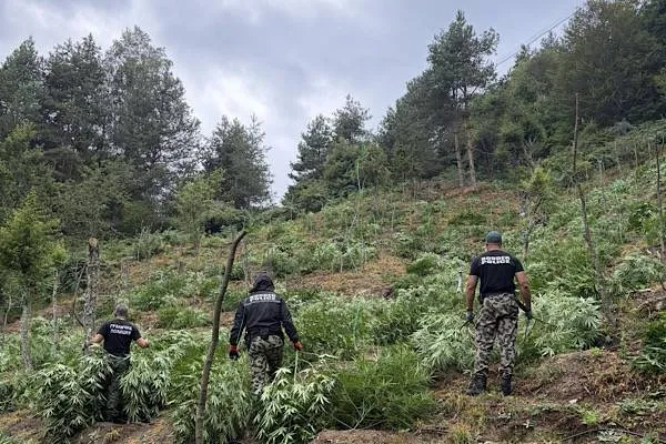 Deniz polisinden Adalar çevresinde 'deniz taksi' denetimi