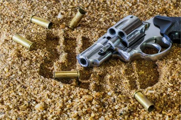 IDF: Smuggling of 4 M-16 rifles prevented