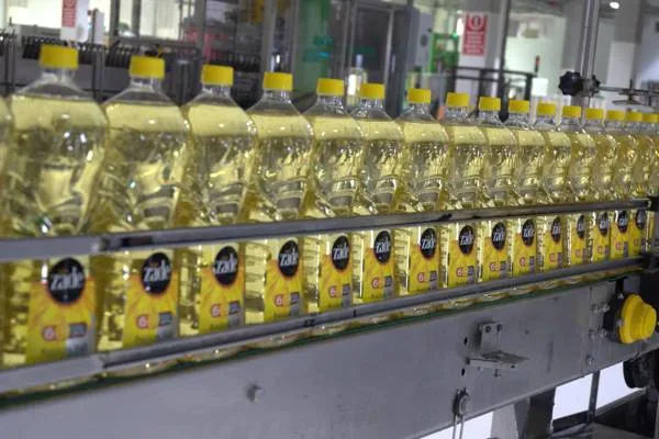 Deniz polisinden Adalar çevresinde 'deniz taksi' denetimi