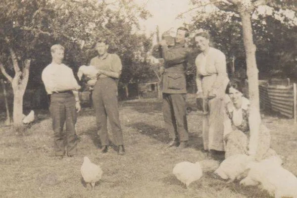 Letter from ANZAC soldier who survived the Nek attack sheds light on history