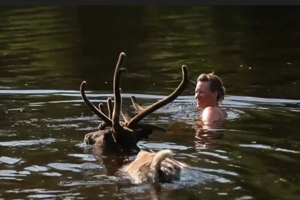 People North of the Arctic Circle Seek Coolness in the River with Their Animals