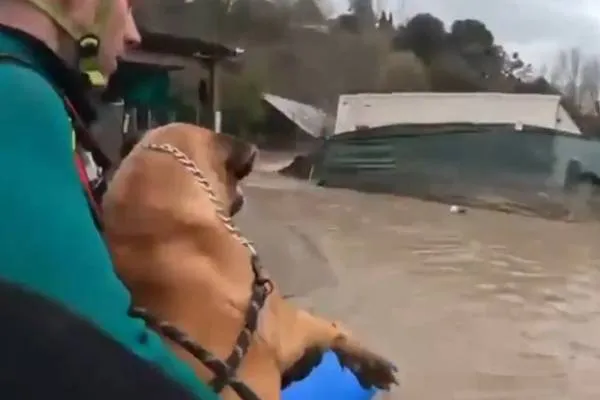 Tausende Evakuierte aufgrund von Überschwemmungen in Portugal, Straße eingestürzt, Innenministerin trat zurück