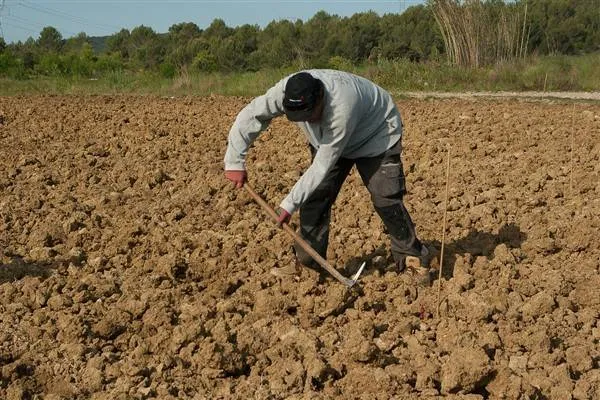 Deniz polisinden Adalar çevresinde 'deniz taksi' denetimi