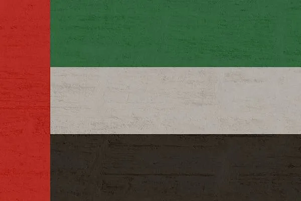 UAE Defense Ministry announces 131 UAVs neutralized