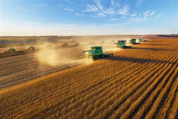 Producția de cereale a Chinei a înregistrat o creștere stabilă în ultimii 5 ani