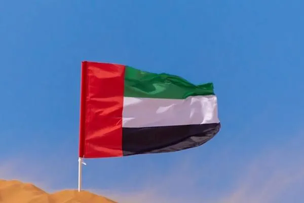 Singapore's defense policy discussed at UAE National Defence College