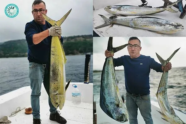 La suerte del pescador de Çanakkale con el 