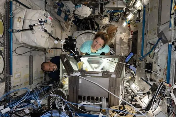 NASA: Williams' space mission contributed to cancer treatment research