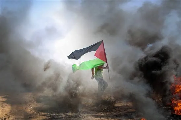 232 نفر در غزه جان خود را از دست دادند
