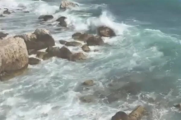 UN Ocean Summit opens in Nice with call to enhance marine protection measures