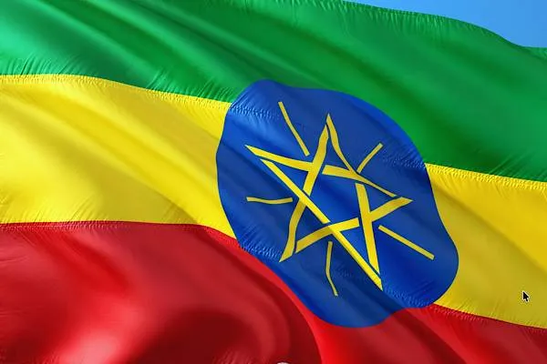 Premierul Etiopiei, Ali, l-a primit pe premierul Singapore, Wong