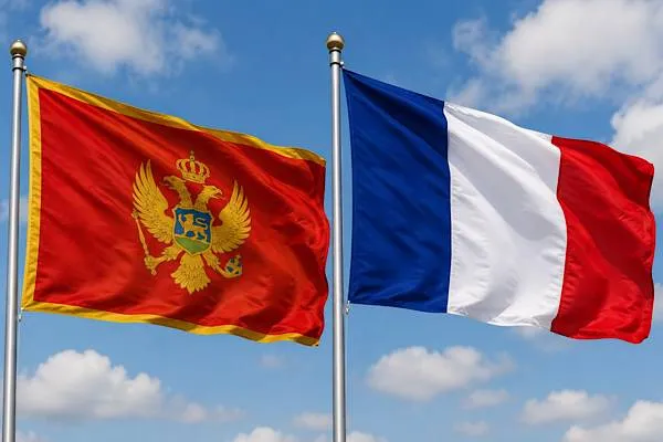 Спајић: Црна Гора добила снажну подршку Француске